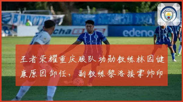 王者荣耀重庆狼队功勋教练林因健康原因卸任,副教练黎洛接掌帅印