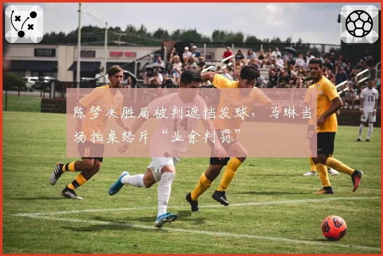 陈梦决胜局被判遮挡发球,马琳当场拍桌怒斥“业余判罚”